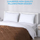 Queen Size Standard Hypoallergenic Pillows