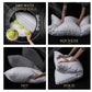 Queen Size Standard Hypoallergenic Pillows
